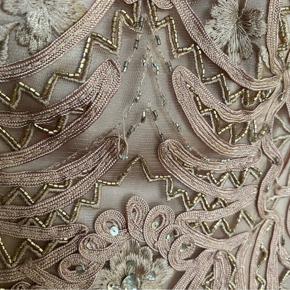 Sue Wong Nocturne Blush Pink Beaded Lace Dress Size 2 - Picture 6 of 12